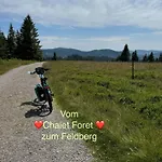 Nyaraló Foret - *