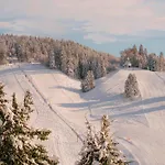 Foret - Nyaraló Todtnauberg
