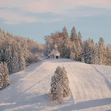 Holiday home Foret - Todtnauberg
